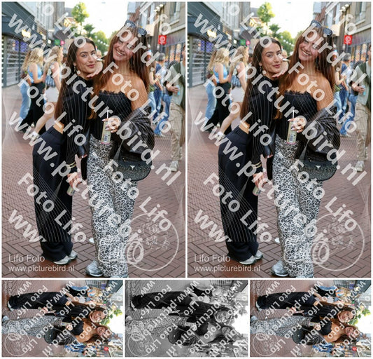 Evenement foto: Nijmeegse Vierdaagse 1090