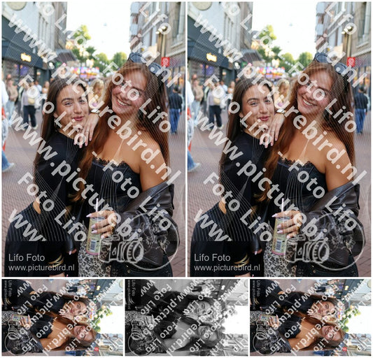 Evenement foto: Nijmeegse Vierdaagse 1090