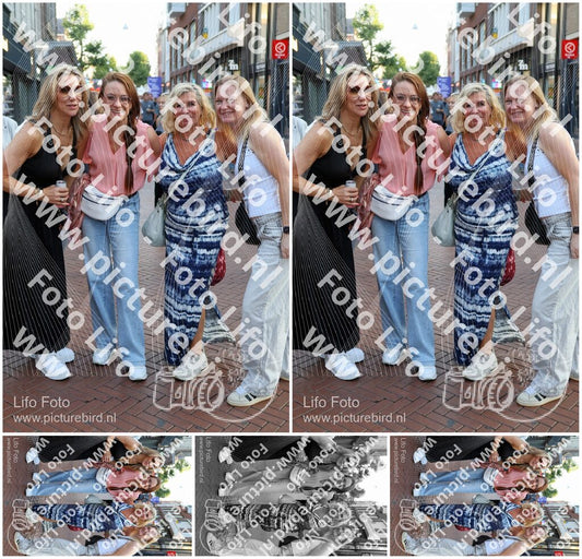 Evenement foto: Nijmeegse Vierdaagse 1090