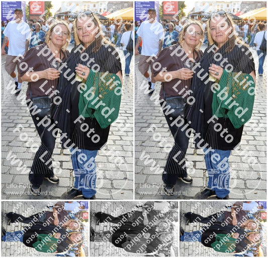 Evenement foto: Nijmeegse Vierdaagse 1090