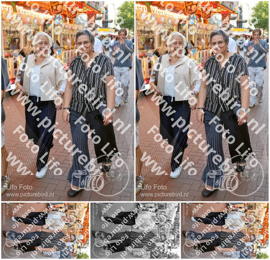 Evenement foto: Nijmeegse Vierdaagse 1089