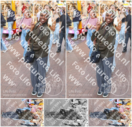 Evenement foto: Nijmeegse Vierdaagse 1089