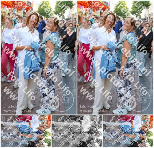 Evenement foto: Nijmeegse Vierdaagse 1089