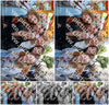 Evenement foto: Nijmeegse Vierdaagse 1088