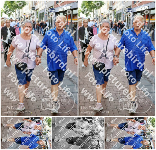 Evenement foto: Nijmeegse Vierdaagse 1088