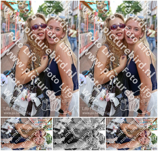 Evenement foto: Nijmeegse Vierdaagse 1088