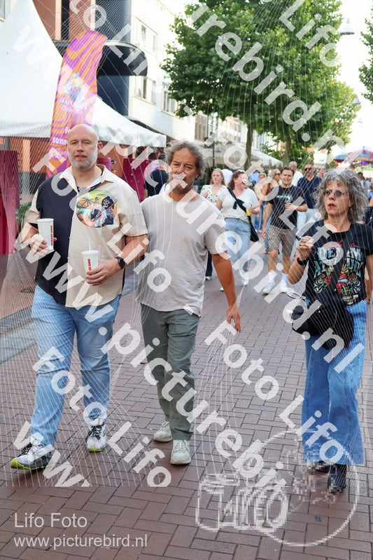 Evenement foto: Nijmeegse Vierdaagse 1087