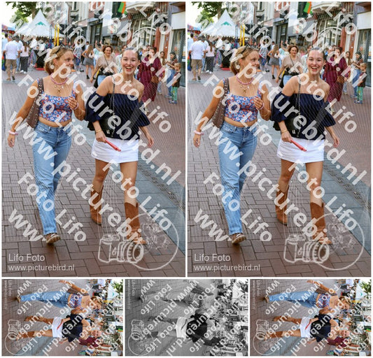 Evenement foto: Nijmeegse Vierdaagse 1087