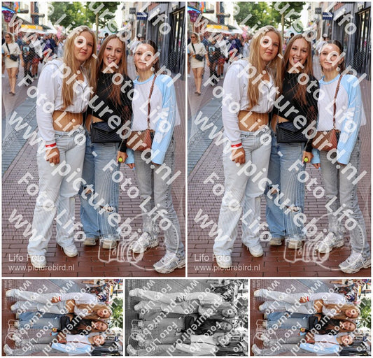 Evenement foto: Nijmeegse Vierdaagse 1087