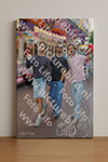 Evenement foto: Nijmeegse Vierdaagse 1087