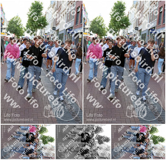 Evenement foto: Nijmeegse Vierdaagse 1087