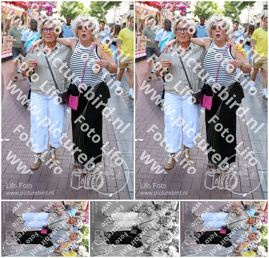 Evenement foto: Nijmeegse Vierdaagse 1087