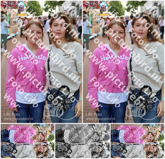 Evenement foto: Nijmeegse Vierdaagse 1087