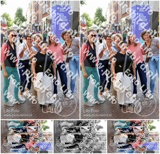 Evenement foto: Nijmeegse Vierdaagse 1086