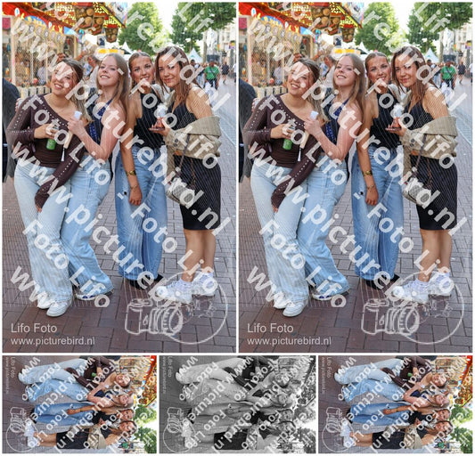 Evenement foto: Nijmeegse Vierdaagse 1086