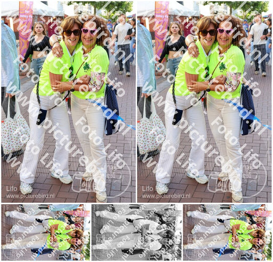 Evenement foto: Nijmeegse Vierdaagse 1086