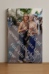 Evenement foto: Nijmeegse Vierdaagse 1086