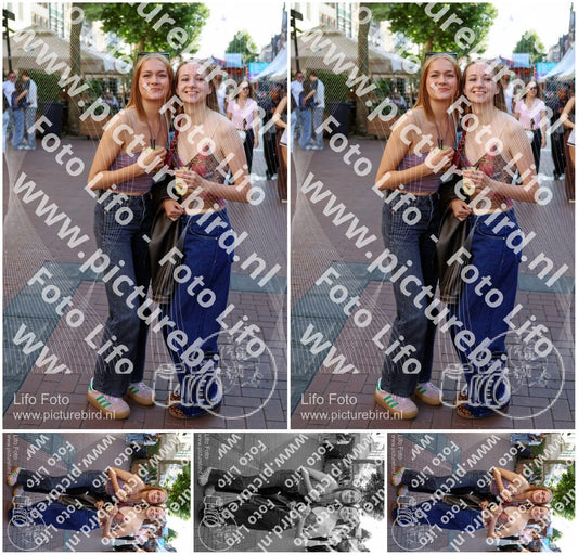 Evenement foto: Nijmeegse Vierdaagse 1086
