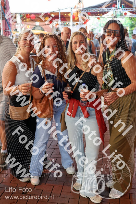 Evenement foto: Nijmeegse Vierdaagse 1086