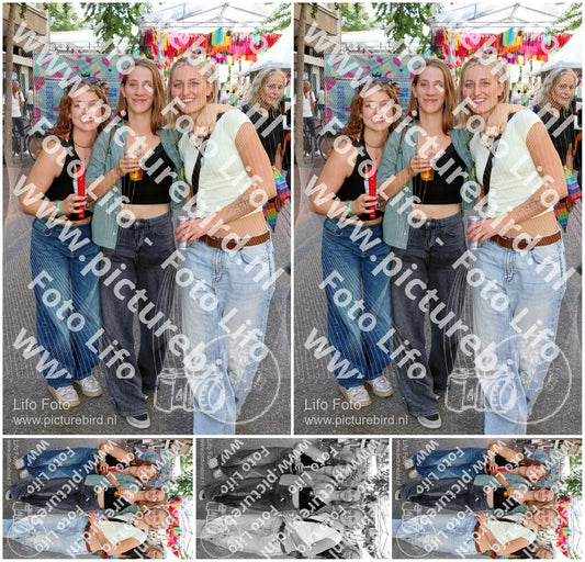 Evenement foto: Nijmeegse Vierdaagse 1085