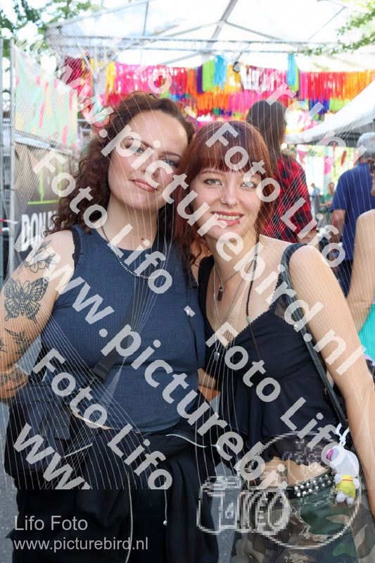 Evenement foto: Nijmeegse Vierdaagse 1085