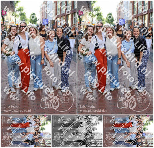 Evenement foto: Nijmeegse Vierdaagse 1085