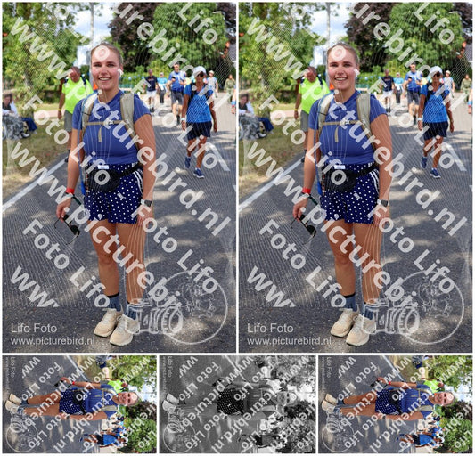 Evenement foto: Nijmeegse Vierdaagse 1083