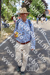 Evenement foto: Nijmeegse Vierdaagse 1083