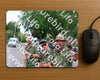 Evenement foto: Nijmeegse Vierdaagse 1083