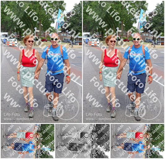 Evenement foto: Nijmeegse Vierdaagse 1083