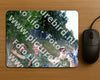 Evenement foto: Nijmeegse Vierdaagse 1083