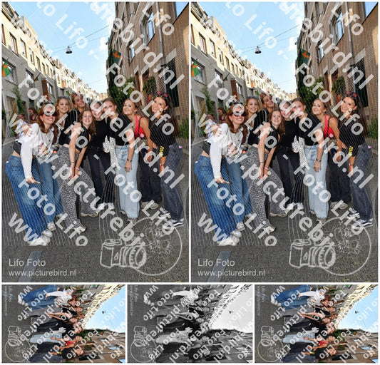 Evenement foto: Nijmeegse Vierdaagse 1082