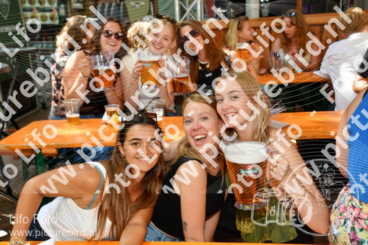 Evenement foto: Nijmeegse Vierdaagse 1081