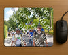 Evenement foto: Nijmeegse Vierdaagse 1080