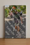 Evenement foto: Nijmeegse Vierdaagse 1080