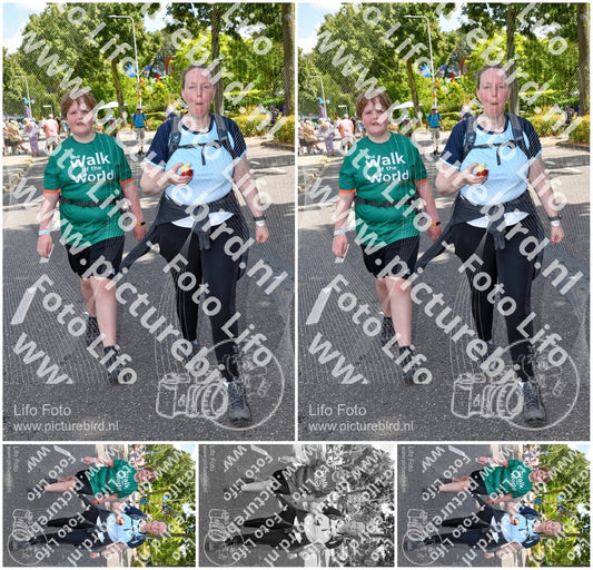 Evenement foto: Nijmeegse Vierdaagse 1080