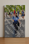 Evenement foto: Nijmeegse Vierdaagse 1080