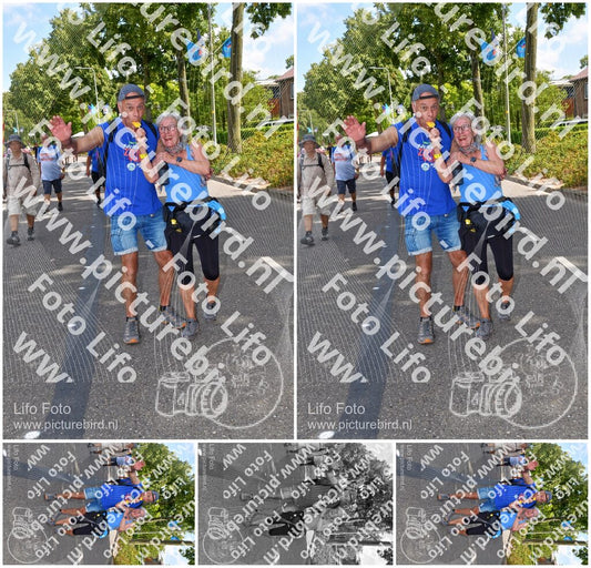 Evenement foto: Nijmeegse Vierdaagse 1080
