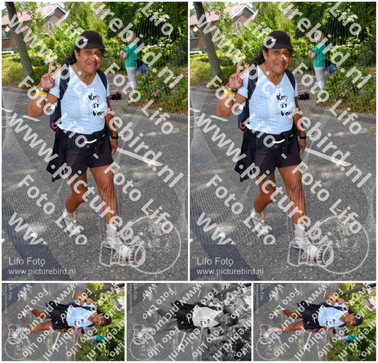 Evenement foto: Nijmeegse Vierdaagse 1080