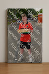 Evenement foto: Nijmeegse Vierdaagse 1080