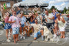 Evenement foto: Nijmeegse Vierdaagse 1080
