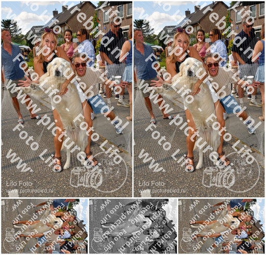 Evenement foto: Nijmeegse Vierdaagse 1080