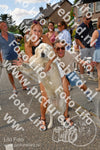 Evenement foto: Nijmeegse Vierdaagse 1080