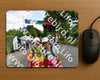Evenement foto: Nijmeegse Vierdaagse 1080