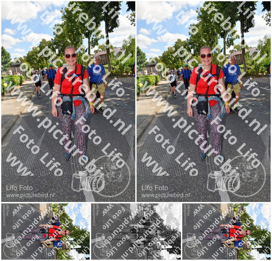 Evenement foto: Nijmeegse Vierdaagse 1079
