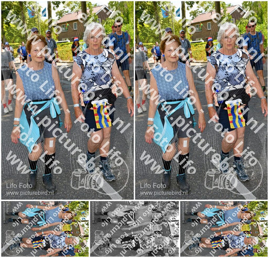 Evenement foto: Nijmeegse Vierdaagse 1079