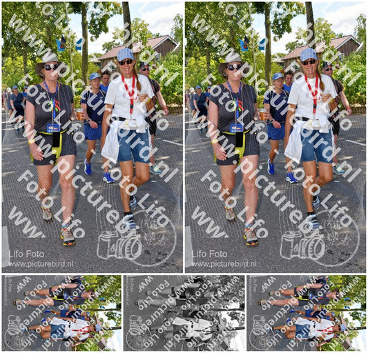 Evenement foto: Nijmeegse Vierdaagse 1079