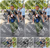 Evenement foto: Nijmeegse Vierdaagse 1079