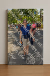 Evenement foto: Nijmeegse Vierdaagse 1079