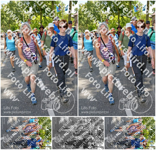 Evenement foto: Nijmeegse Vierdaagse 1079